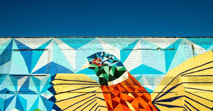 Image of a graffiti in a wall with the image of a bird