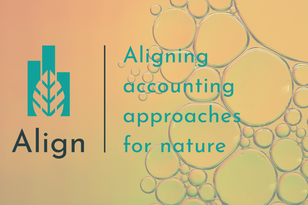 Align Chemicals Webinar