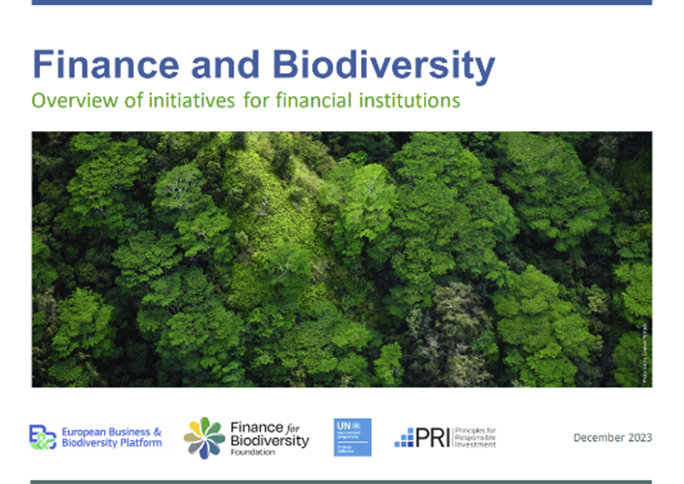 Inage for initiatives for financial institutions 