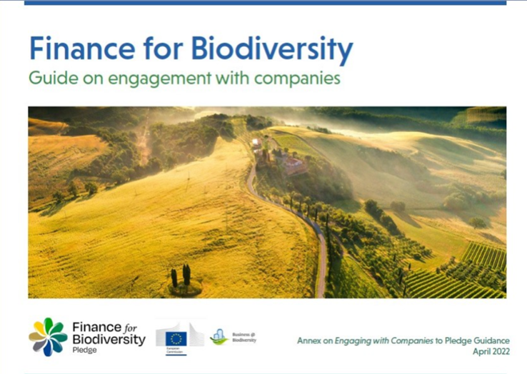 Collaborative engagements overview update 