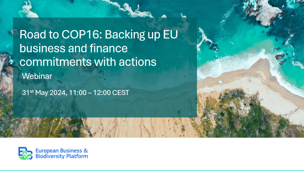 COP16 webinar_may31