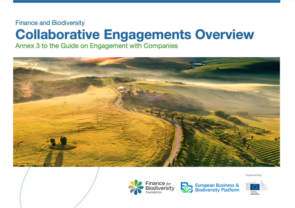 Annex 3 Collaborative Engagements Overview eubb
