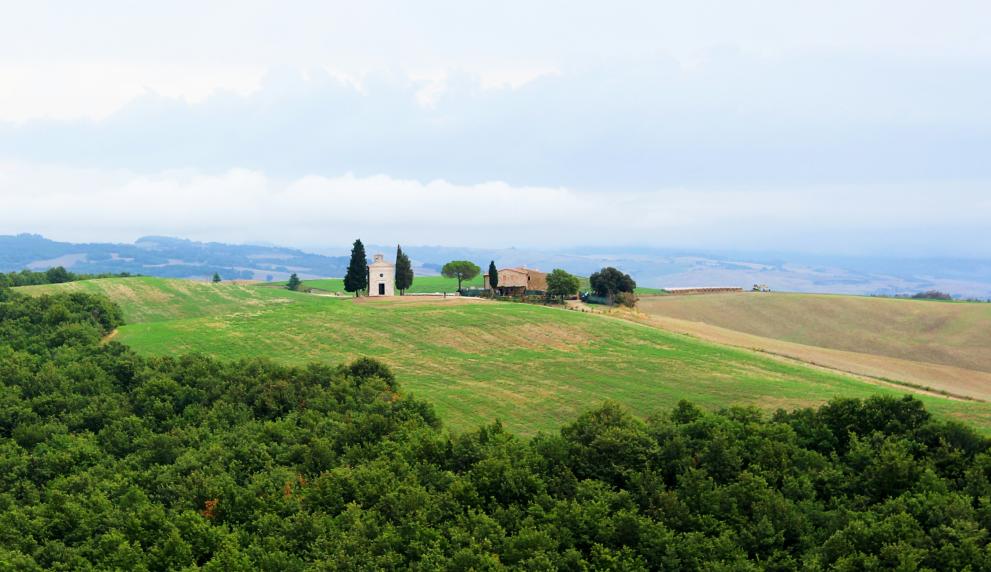 Italian landscape in tuscany - green field with two buildings