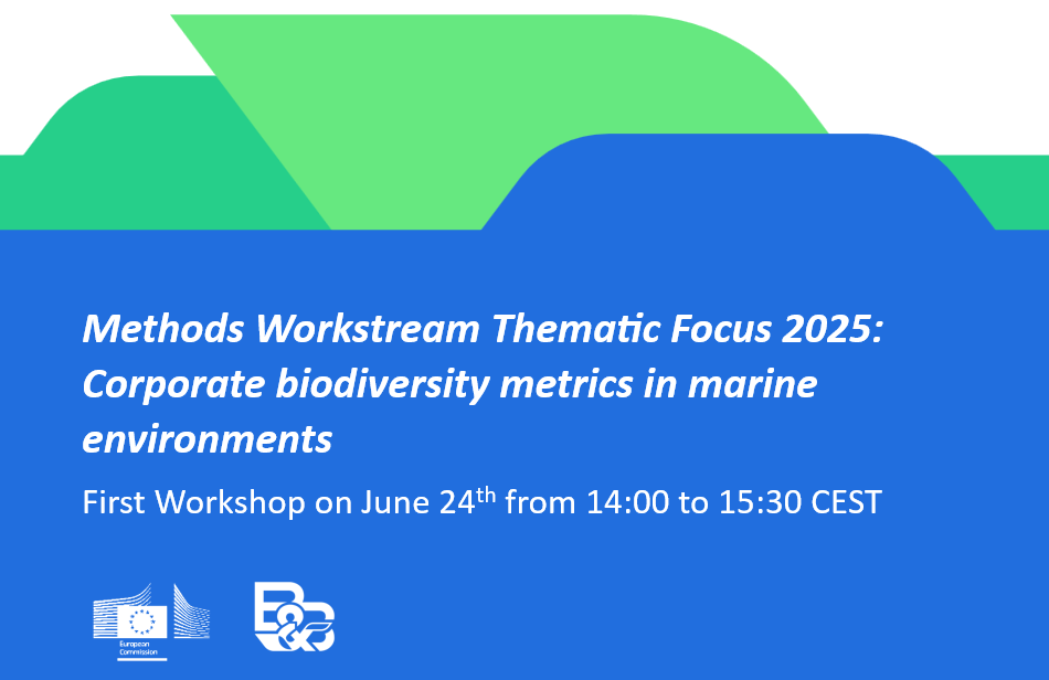 EUBB Methods workstream workshop june 2025