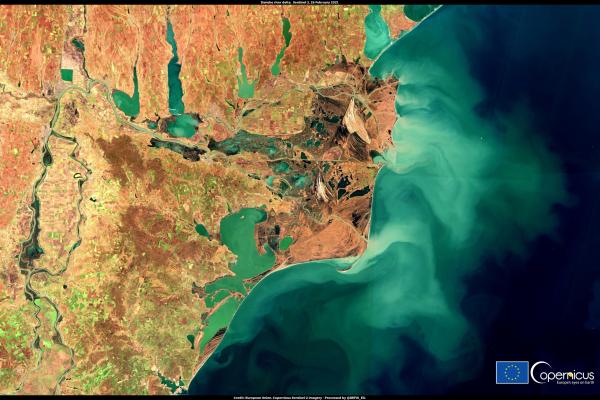Image of the day - February 2021