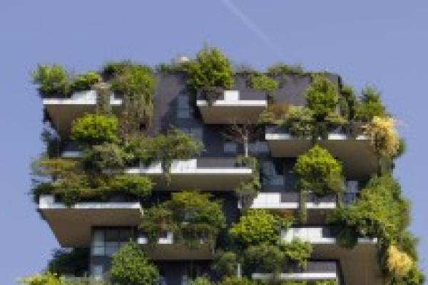 top of a skyscraper with green plants