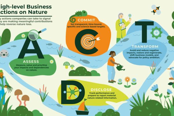 Key actions companies can take to signal they are making meaningful contributions to help reverse nature loss: (A) ASSESS: Measure, value and prioritise your impacts and dependencies on nature, (C) COMMIT: Set transparent, time-bound, specifica and science-based targets, (T) TRANSFORM: Avoid and reduce negative impacts, restore and regenerate, shift business models and advocate for policy ambition. (D) DISCLOSE: Track performance and prepare to report material nature-related information.