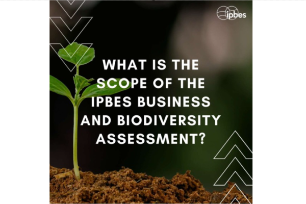 IPBES consultation