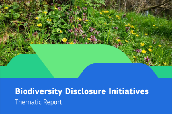 Thematic report 2024 image 