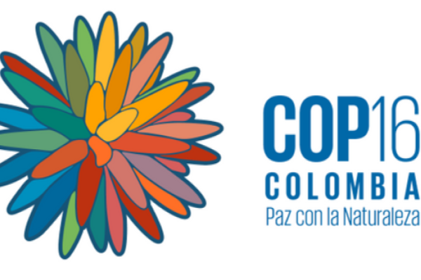 cop 16 poster