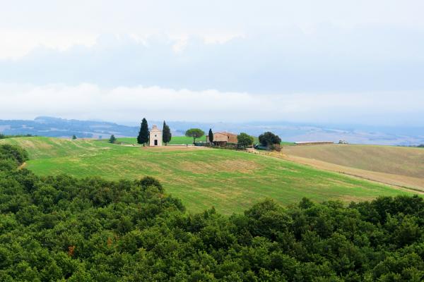 Italian landscape in tuscany - green field with two buildings