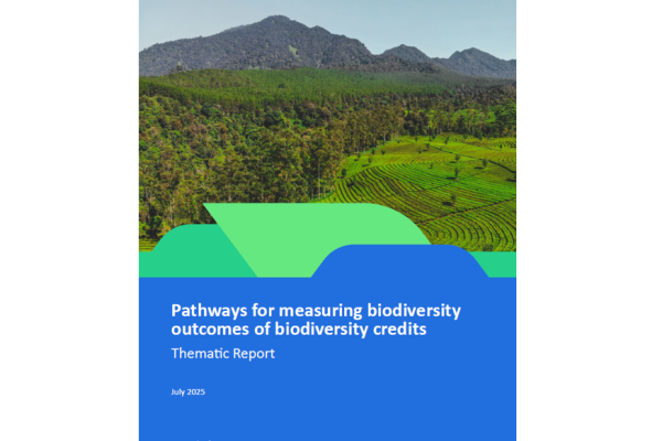 eubb_bc report_cover_july2025